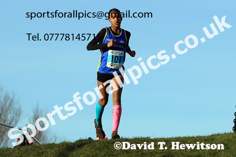 Girls under-13s 2024 NECAA Cross Country Champs., Temple Park, South Shields. Photo: David T. Hewitson/Sports for All Pics